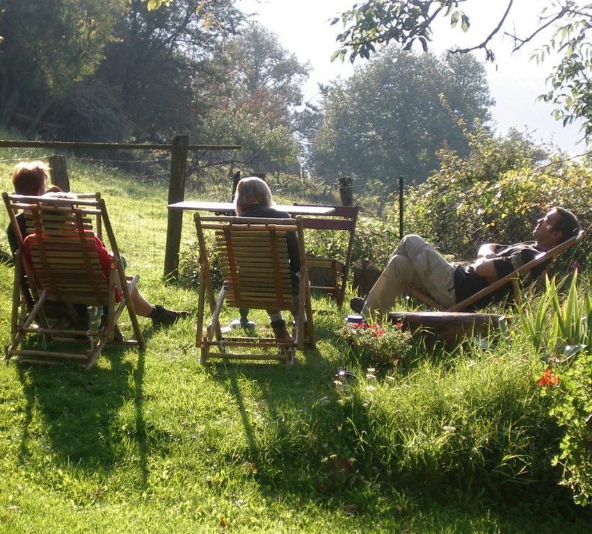 Maison d'Hôtes de la Verrière Les Ardillats Extérieur photo