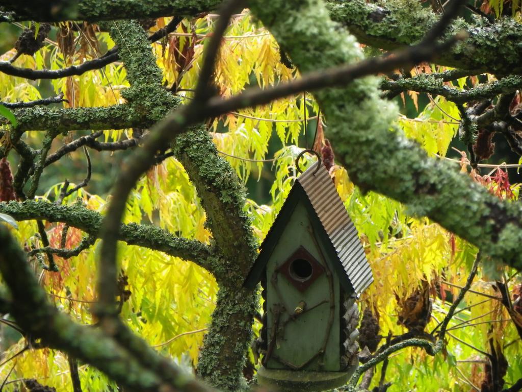 Maison d'Hôtes de la Verrière Les Ardillats Extérieur photo