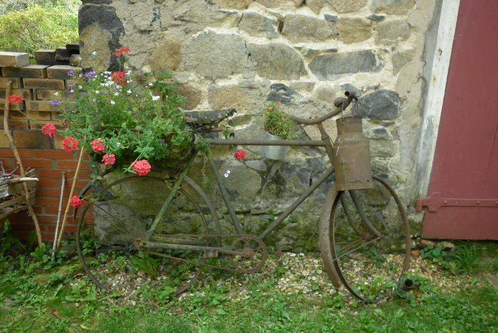 Maison d'Hôtes de la Verrière Les Ardillats Extérieur photo