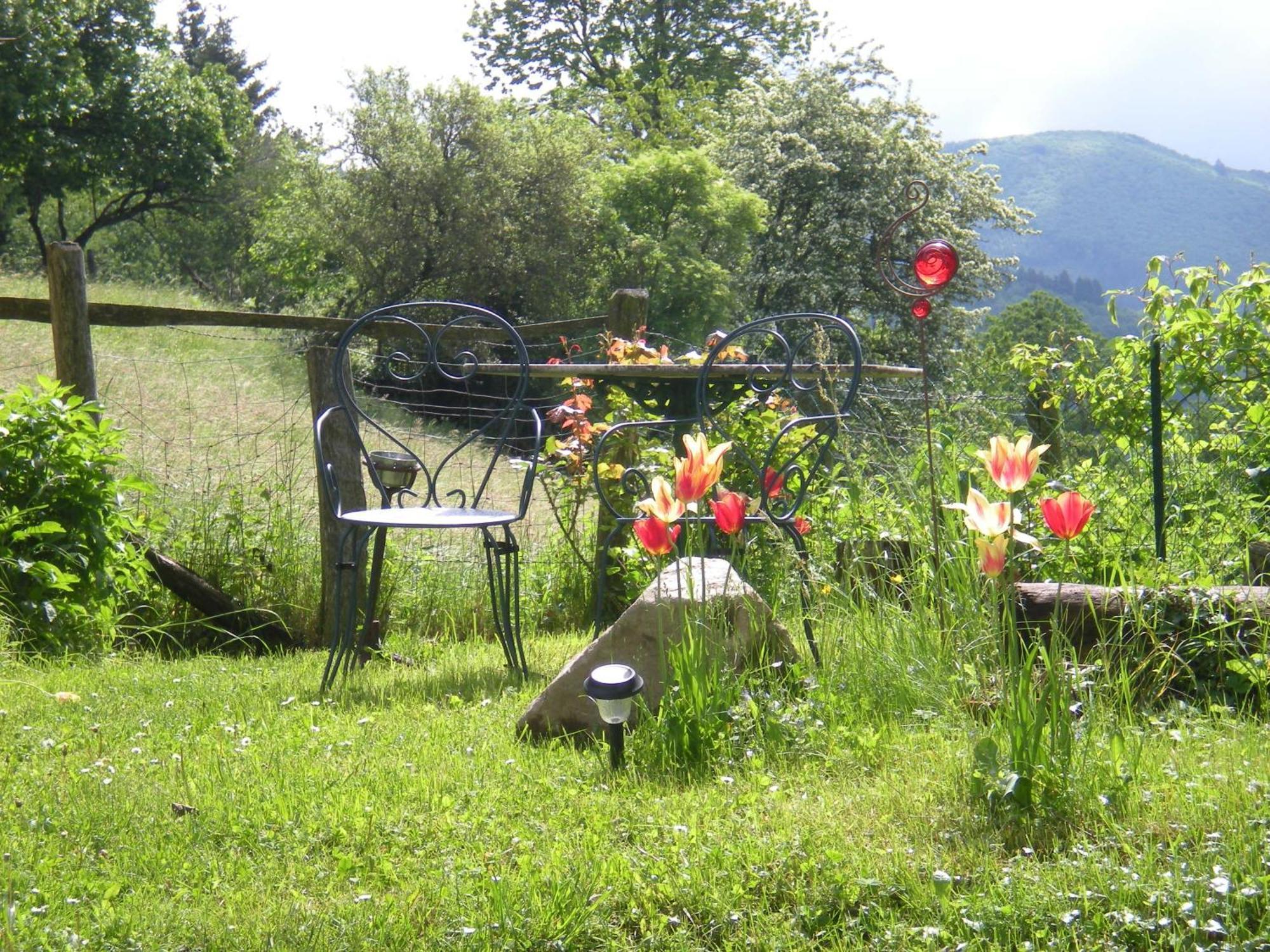 Maison d'Hôtes de la Verrière Les Ardillats Extérieur photo